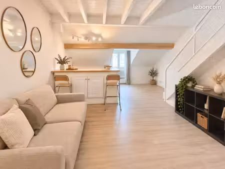 duplex de charme – 44 70 m² au sol – île feydeau - plein sud
