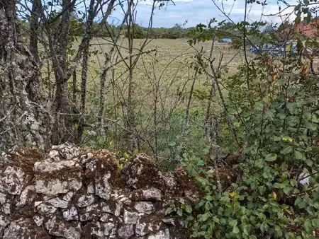 terrain constructible