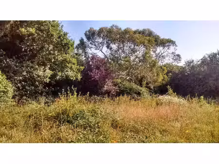 terrain constructible neuf à vendre