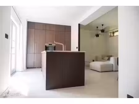 olivet – 80 m² rénovés avec jardin et terrasse – 2 chambres – 2 parkings – ancien château 