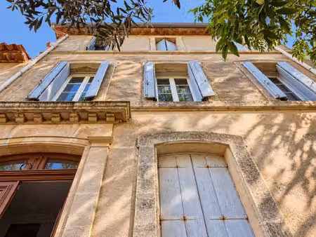 ancienne propriété viticole avec maison de maître  remise  chais et dépendances