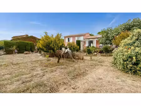 maison à villemoustaussou avec jardin  garage et vue dégagée