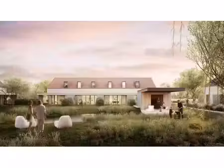 zuiderkroon