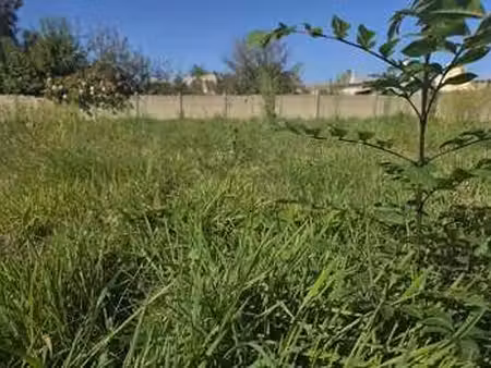 vente terrain à milizac (29290) : à vendre / 472m² milizac