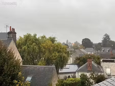 superbe 2 pièces en duplex - refait à neuf - hypeer centre - aucun vis-à-vis