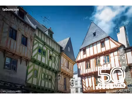 local commercial 50 m² vannes