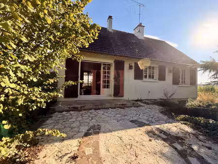 saint denis lanneray - proche commodités - maison avec vaste