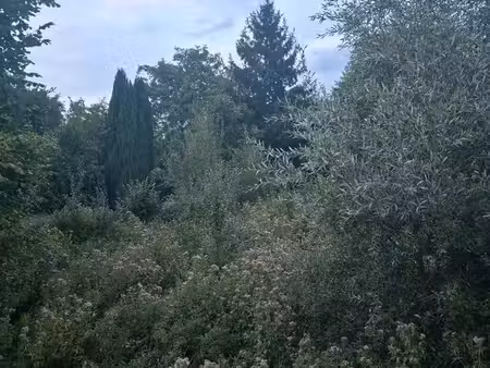 terrain 700m2 quiévrechain
