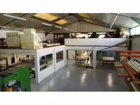 vente local d’activités fabregues 34690 560m²