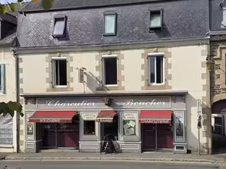 vente appartement 6 pièces et plus à plestin-les-grèves (22310) : à vendre 6 pièces et plu