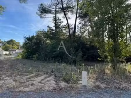 vente terrain à saint-jean-de-monts (85160) : à vendre / 750m² saint-jean-de-monts