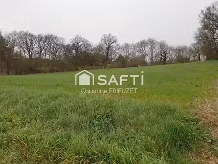 terrain spacieux et constructible
