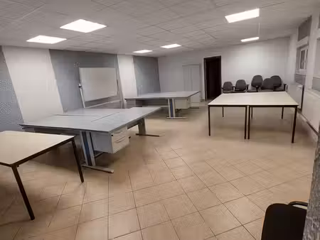 locaux professionnels