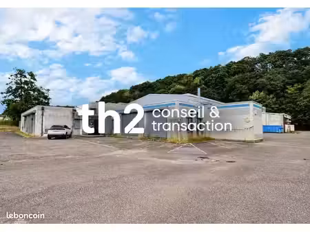 local 4500 m² saint-avold