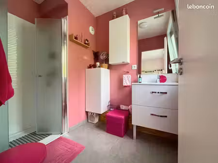 bel appartement de 117 m2  lumineux  dernier étage  en centre-ville  avec terrasse de 63 m