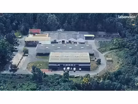 local d'activite 1160 m² templeuve