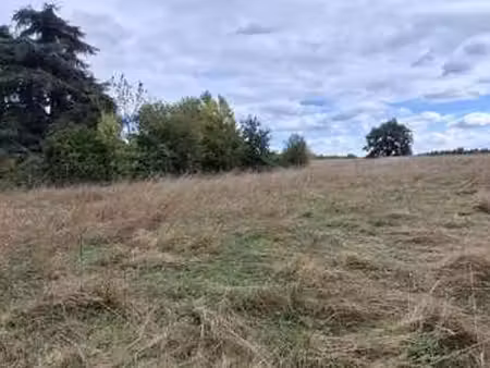 vente terrain à feneu (49460) : à vendre / 602m² feneu