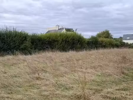vente terrain à feneu (49460) : à vendre / 866m² feneu