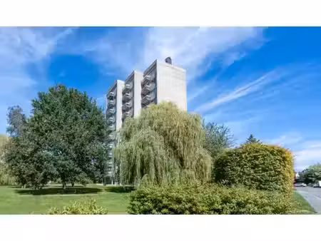 appartement à vendre avec garage et terrasse   nivelles (vbe75607)