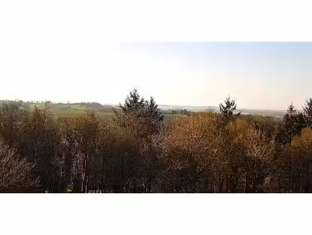 propriété avec jardin le haut-corlay (22)