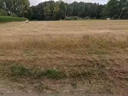 vente terrain à bobital (22100) : à vendre / bobital