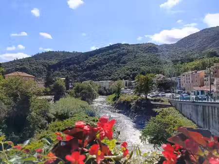 vente appartement 1 pièces 22m2 amélie-les-bains-palalda 66110 - 24000 € - surface privée