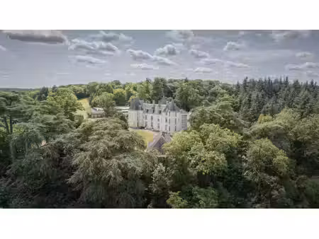 achat maison 17 pièces 1 213m² laval 53000