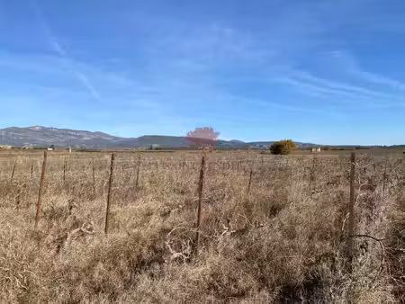 achat terrain 24 831m² st andre de sangonis 34725