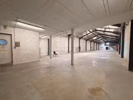 location entrepôt toulouse 31100 500m²