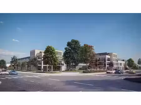 poort ertbrand