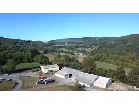 achat maison 1 pièce viane 81530