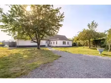 maison à vendre avec 3 chambres   pottes (vbe75930)