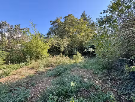 terrain non viabilisé - 278 m2