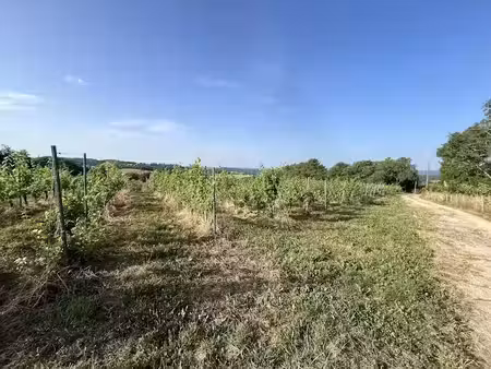 vente terrain 20000 m² à puy-d'arnac (19120)  25 000 €