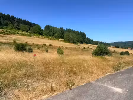 vente terrain 756 m² à dunières (43220)  41 000 €
