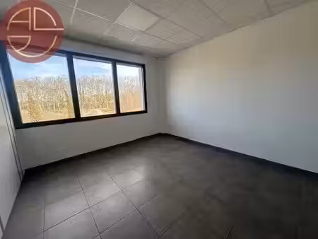 location locaux professionnels 77 m² à castanet-tolosan (31320)  955 €
