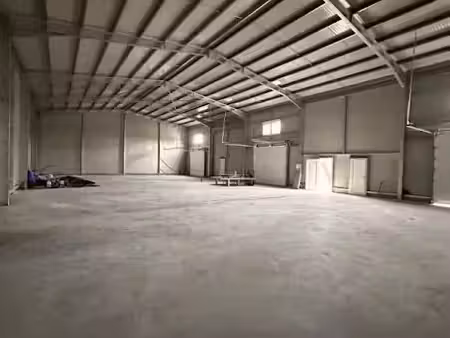 location locaux professionnels 1 pièce 300 m² à grisolles (82170)  2 401 €