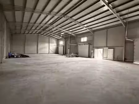 location locaux professionnels 1 pièce 470 m² à grisolles (82170)  3 601 €