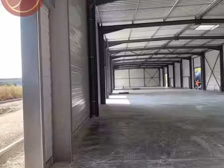 location locaux professionnels 900 m² à saint-jory (31790)  7 875 €