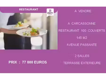 vente locaux professionnels 140 m² à carcassonne (11000)  77 000 €