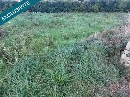 vente terrain à roscoff (29680) : à vendre / 641m² roscoff