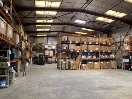vente entrepôt brie-comte-robert 77170 560m²