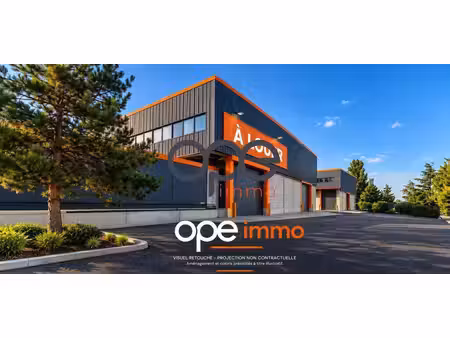 location entrepôt aulnay sous bois 93600 225m²