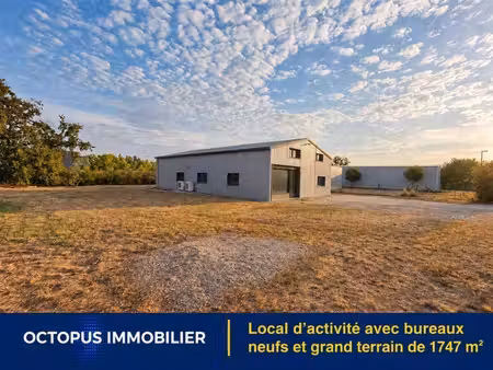 vente local d’activités montrabe 31850 391m²
