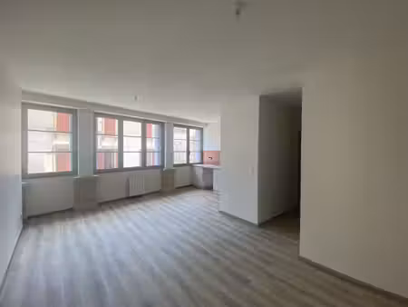 location appartement 2 pièces 53m² st sever 40500