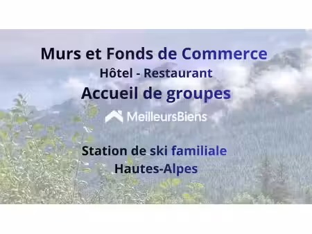 vente locaux professionnels 25 pièces 803 m² à ancelle (05260)  852 000 €