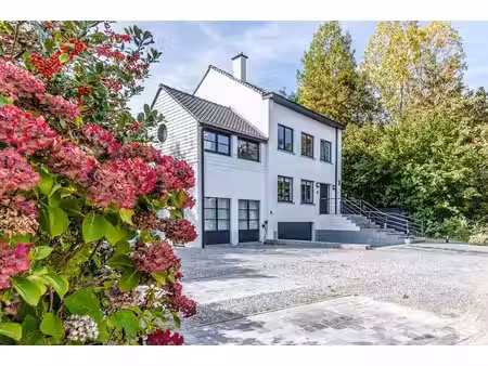 spacieuse maison avec piscine et espace professionnel