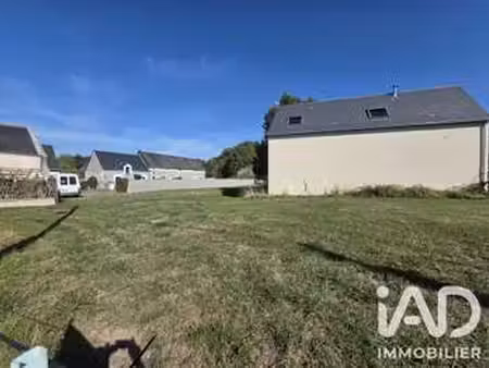 vente terrain à saint-branchs (37320) : à vendre / 965m² saint-branchs