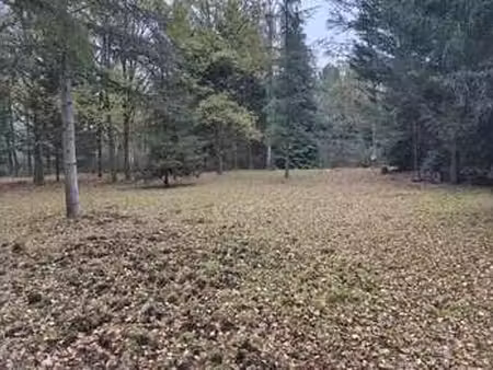 vente terrain à mulsanne (72230) : à vendre / mulsanne