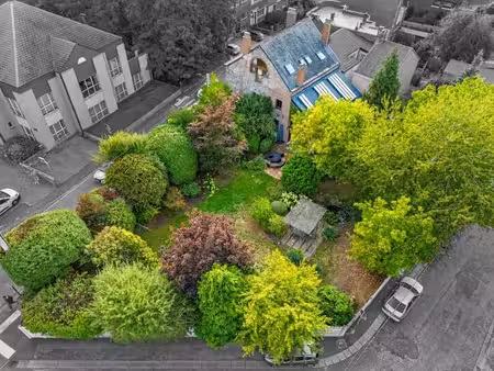 superbe maison de maître - jardin arboré&profession libérale